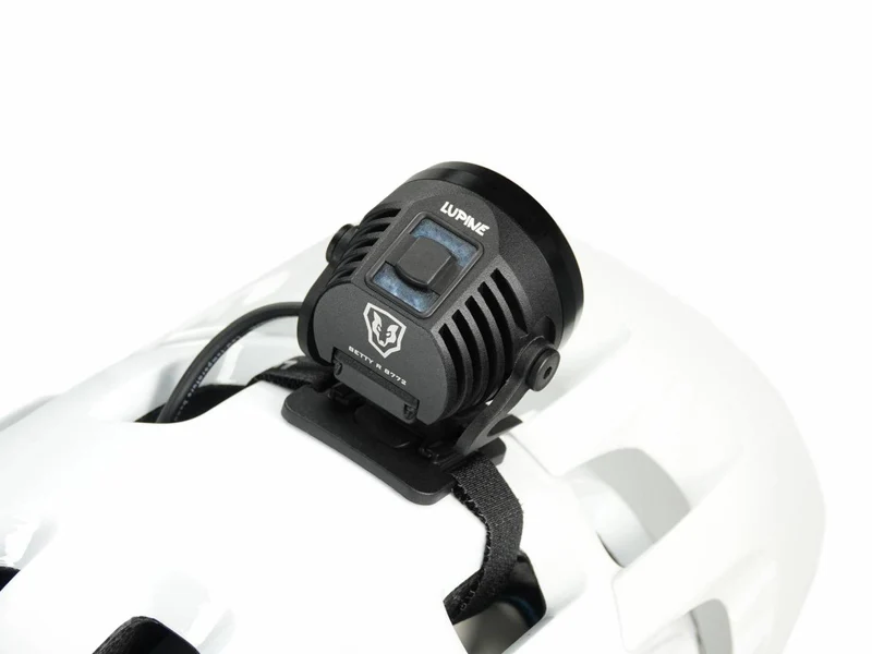 Lupine Betty R 7