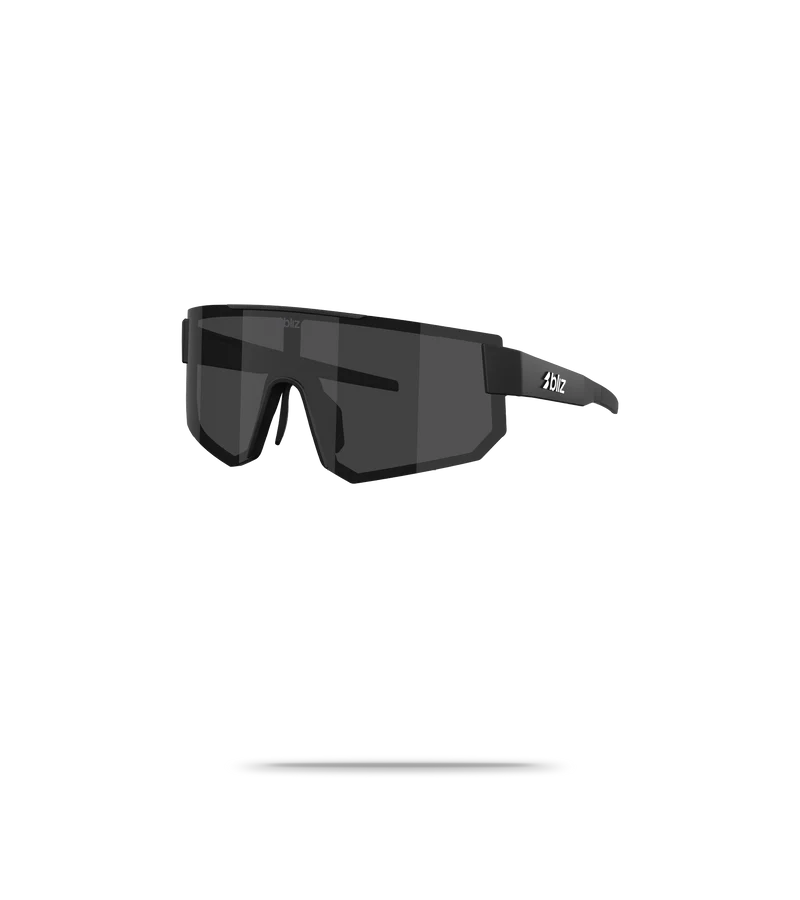 P005S Sunglasses