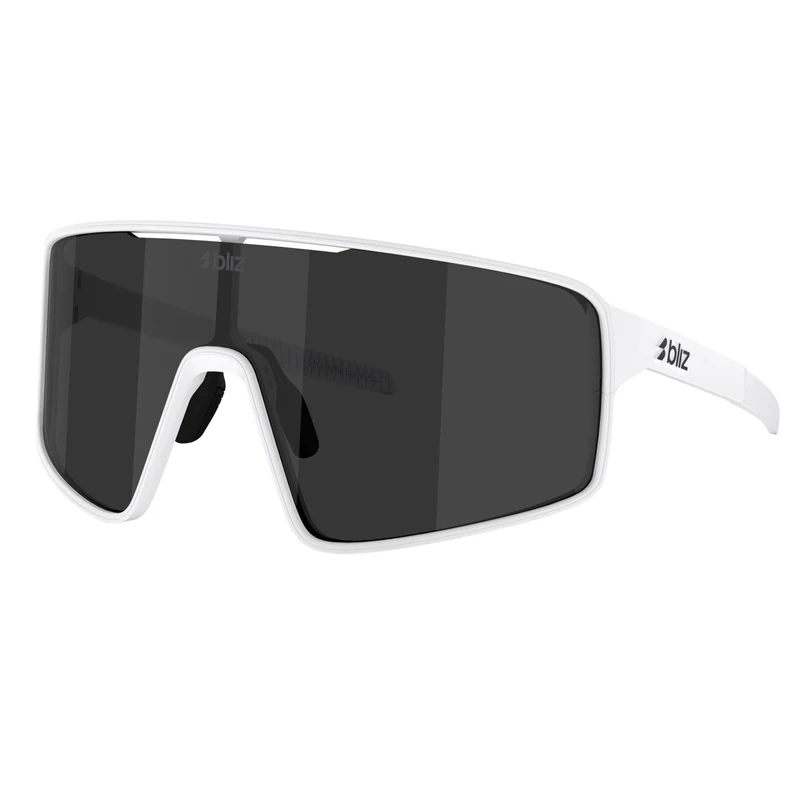 P001S Sunglasses